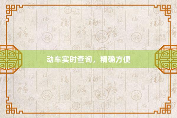 动车实时查询，精确方便