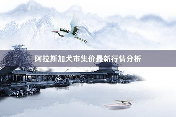 阿拉斯加犬市集价最新行情分析